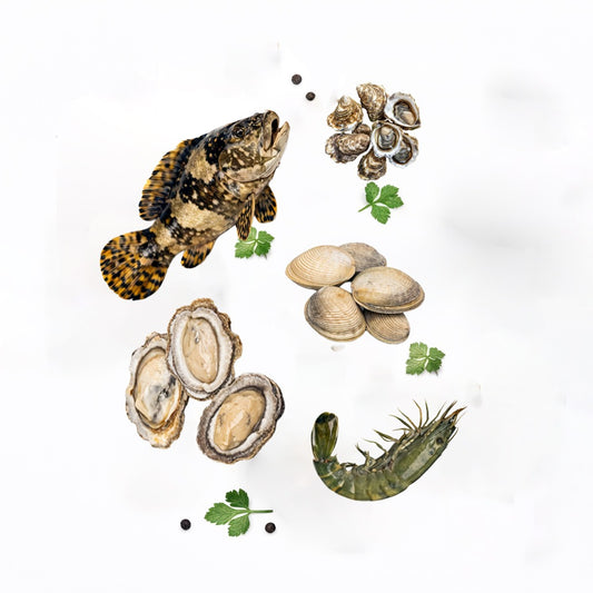 Seafood Box D