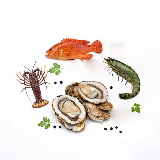Seafood Box E
